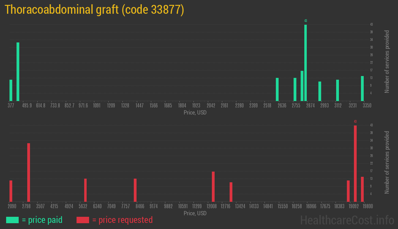 Thoracoabdominal graft
